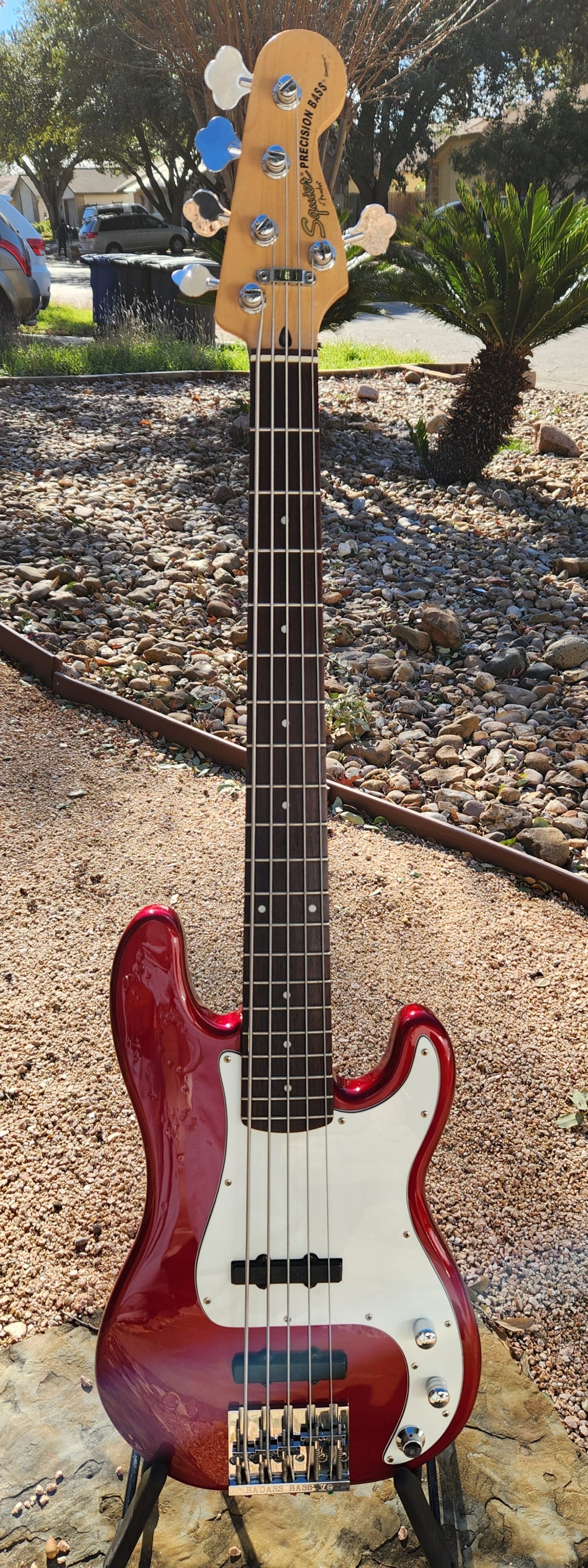 Squire 5 P Full Front 1.jpg