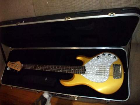 Bass with case.JPG