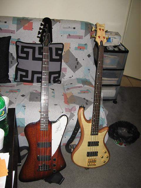 my basses.jpg