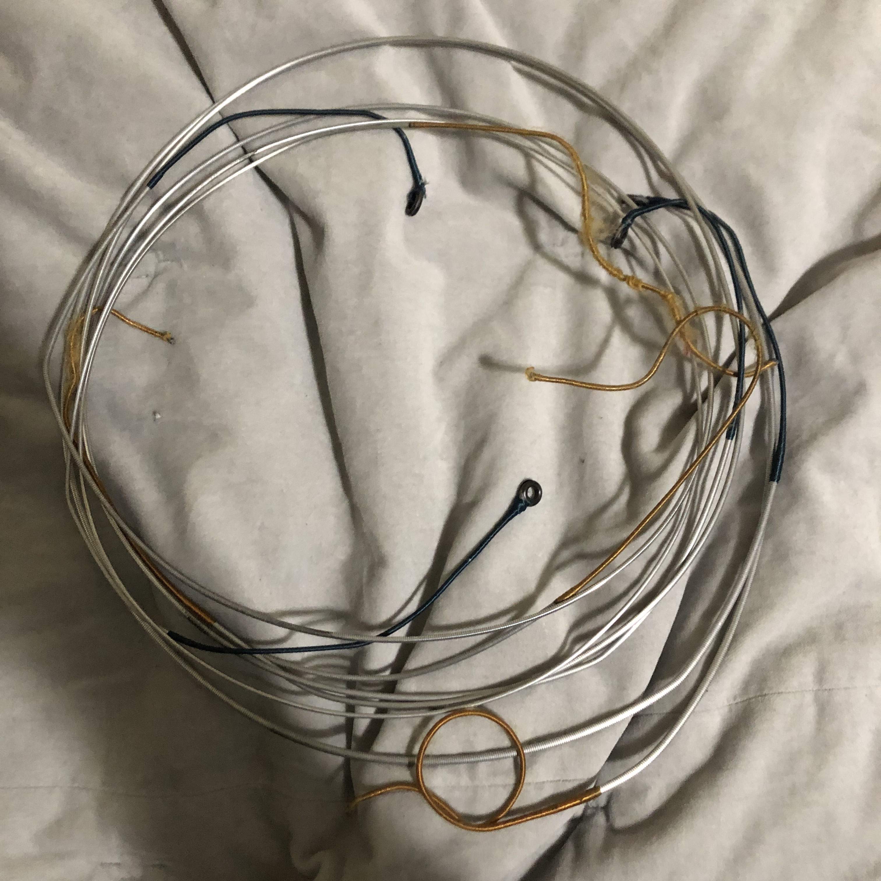 genssler strings.jpg