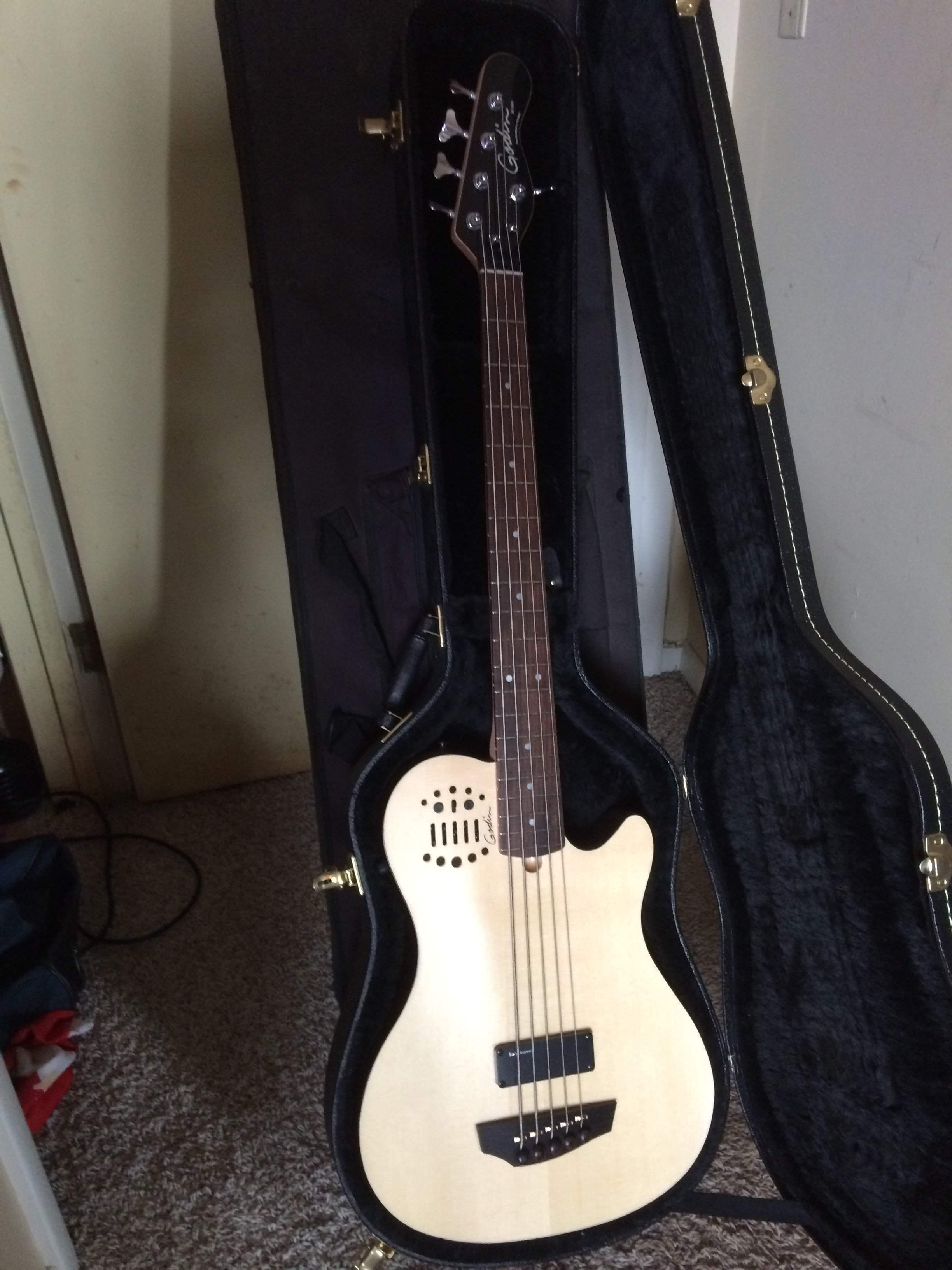 Godin.JPG