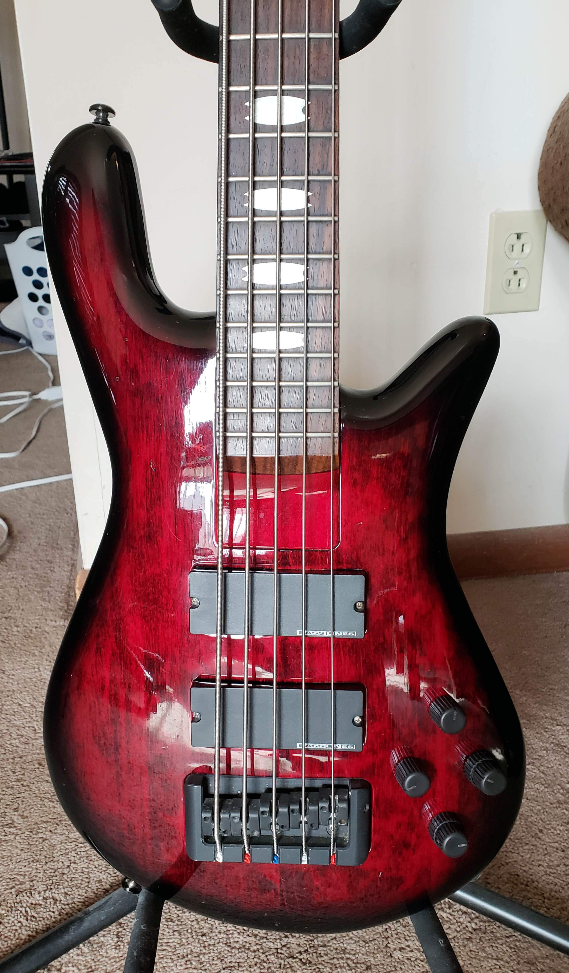 spector front.jpg