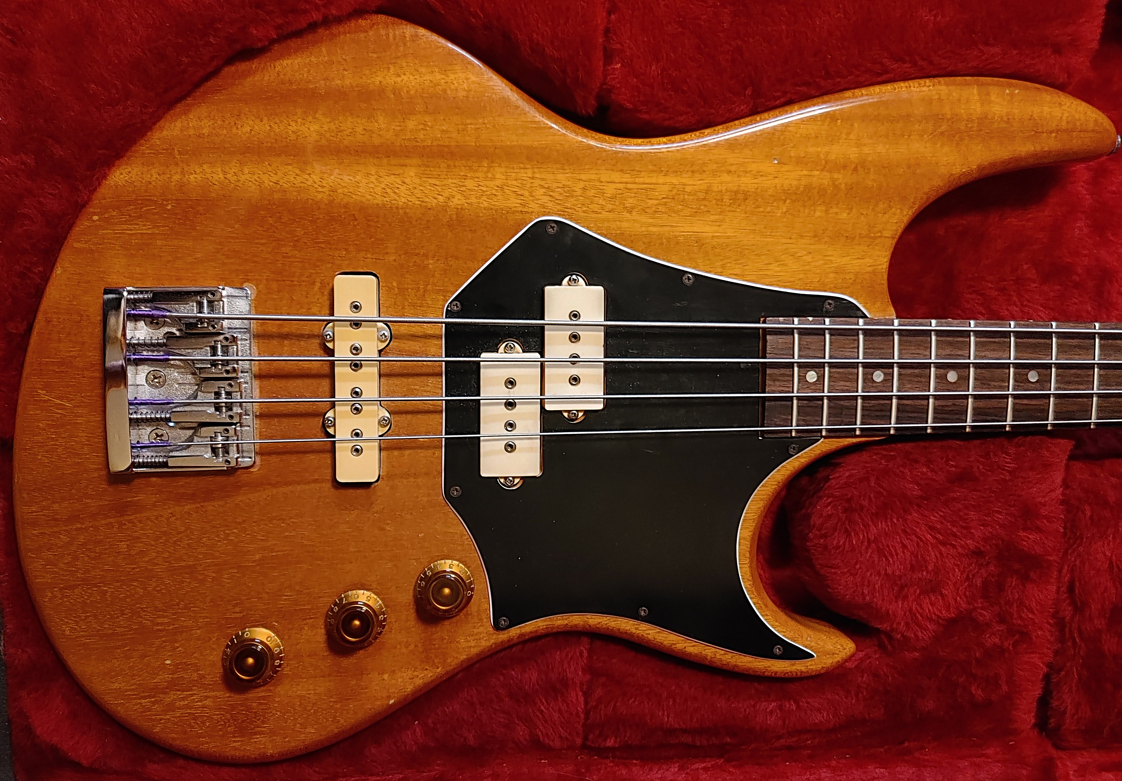 Hamer Cruise Bass 1982 1.jpg