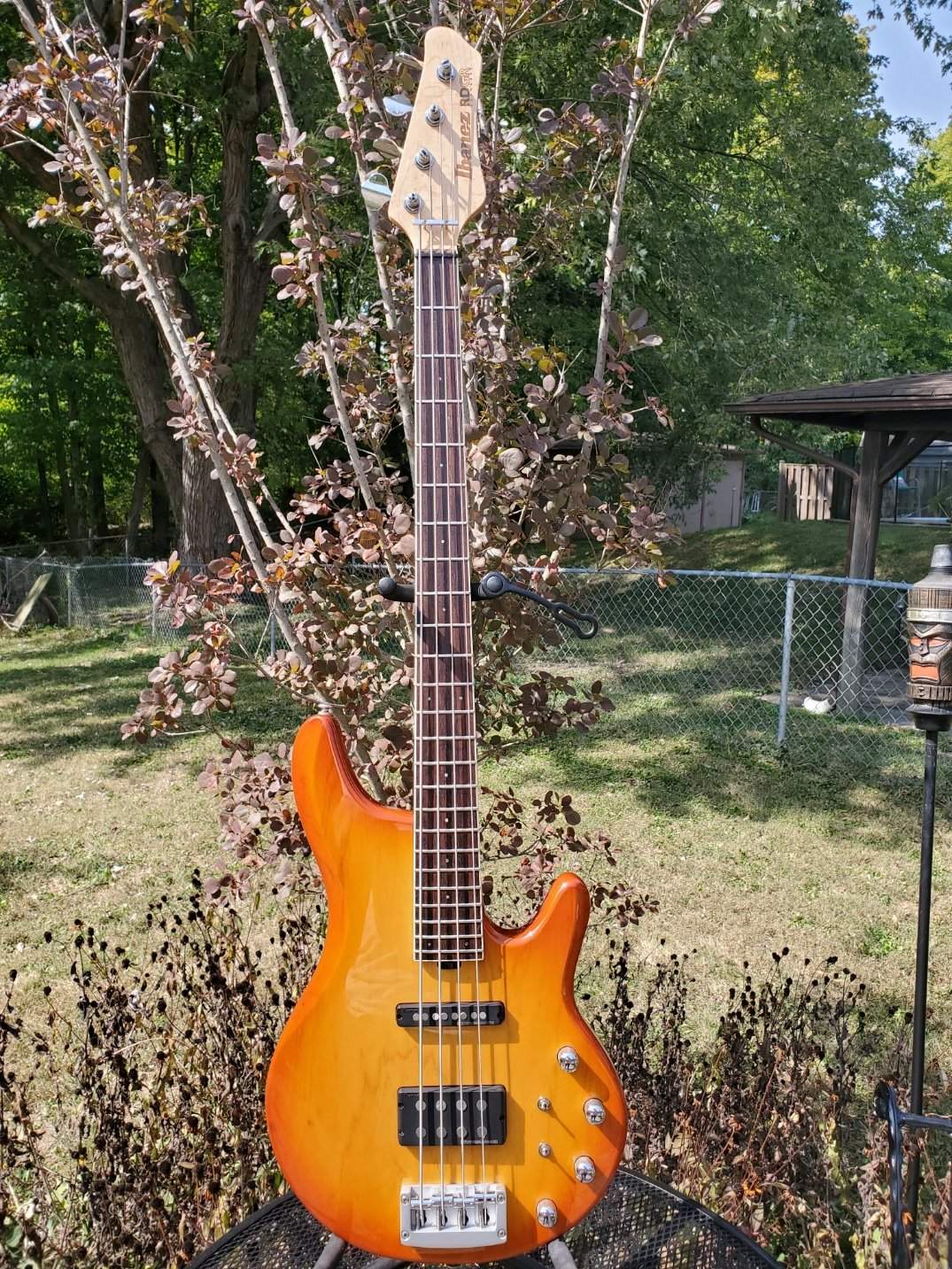 20200922_145154.jpg