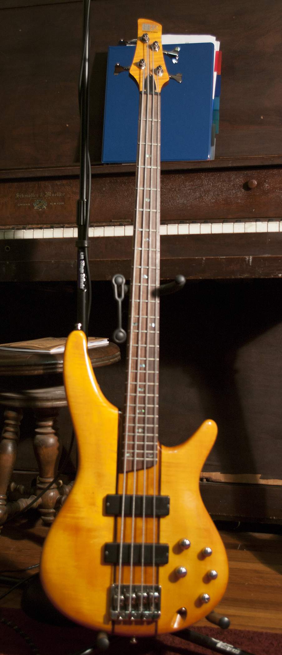 ibbysr7001.jpg