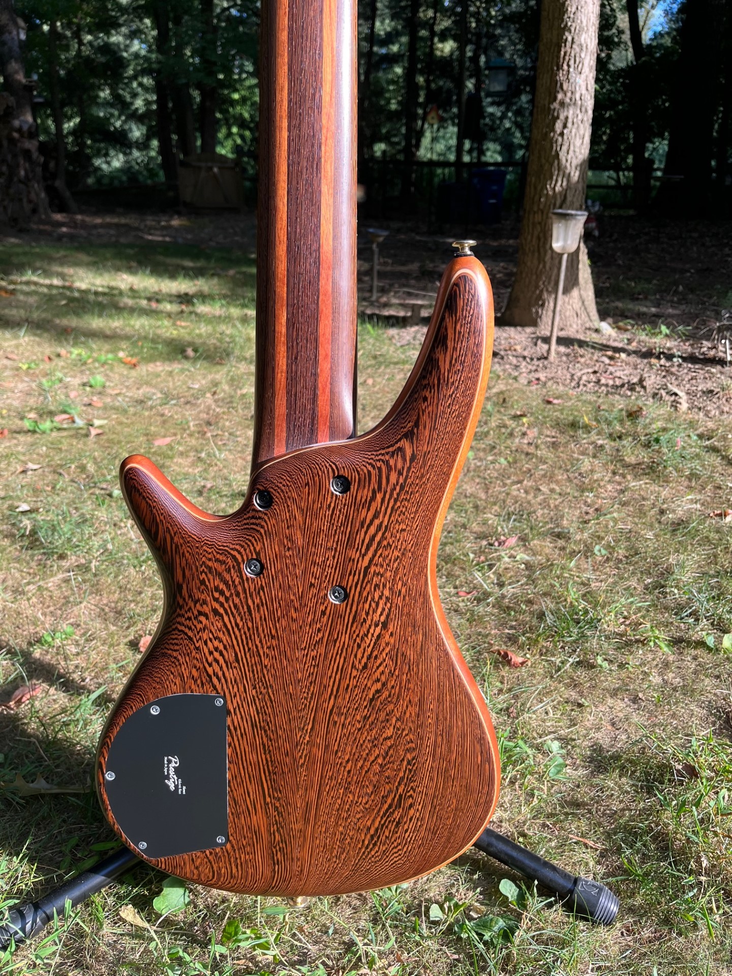 Back Body.jpg