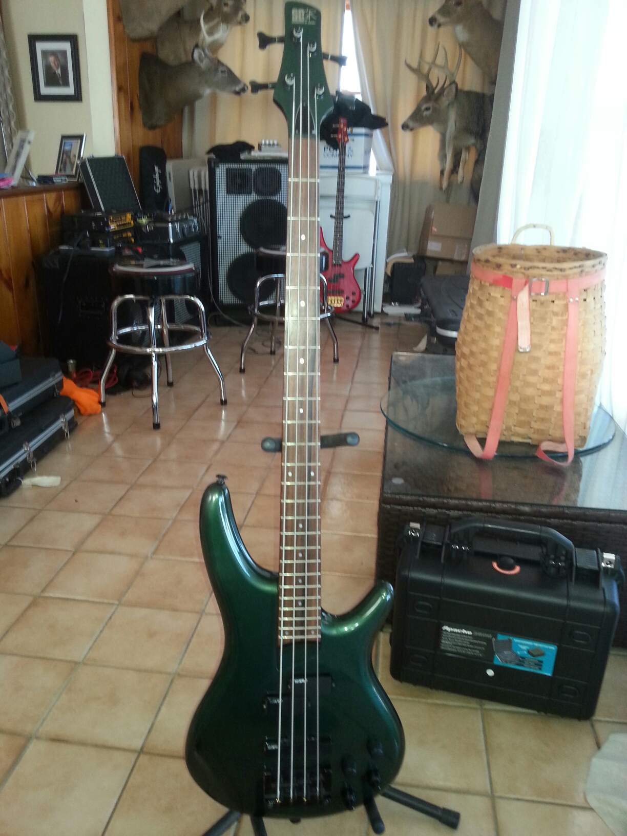 Green Bass 1.jpeg