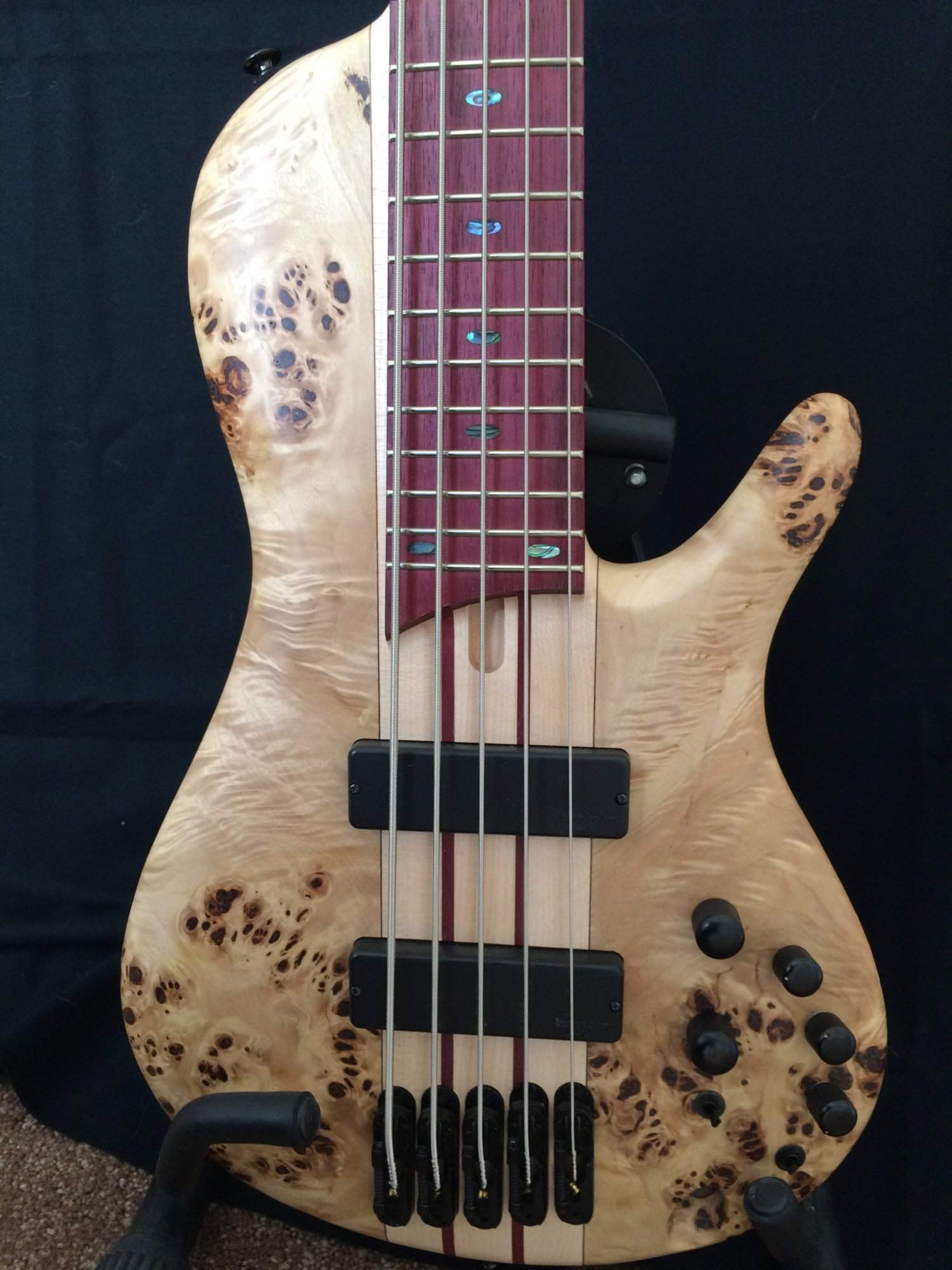 Ibanez - 2.jpg