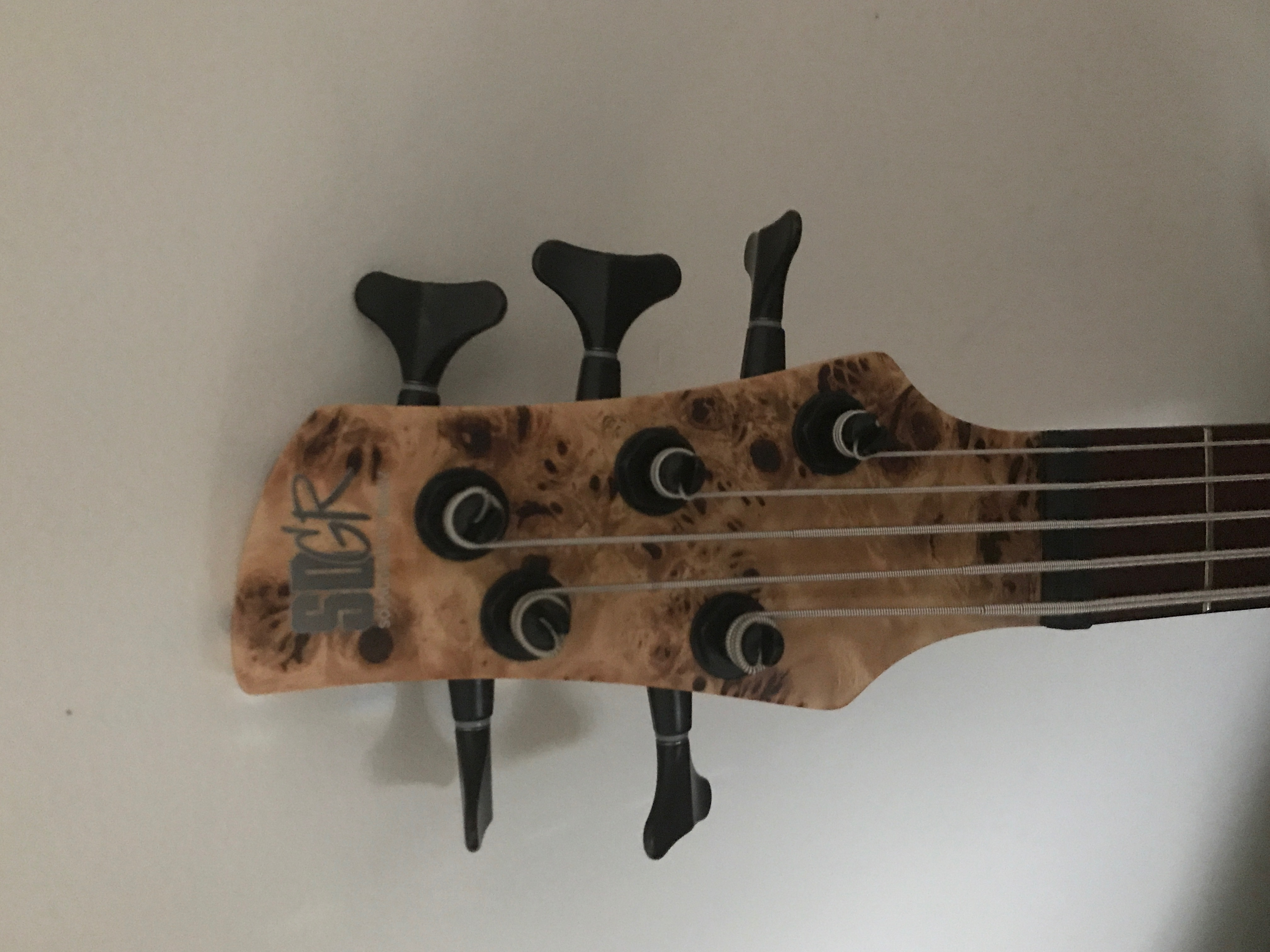 bass pic.png