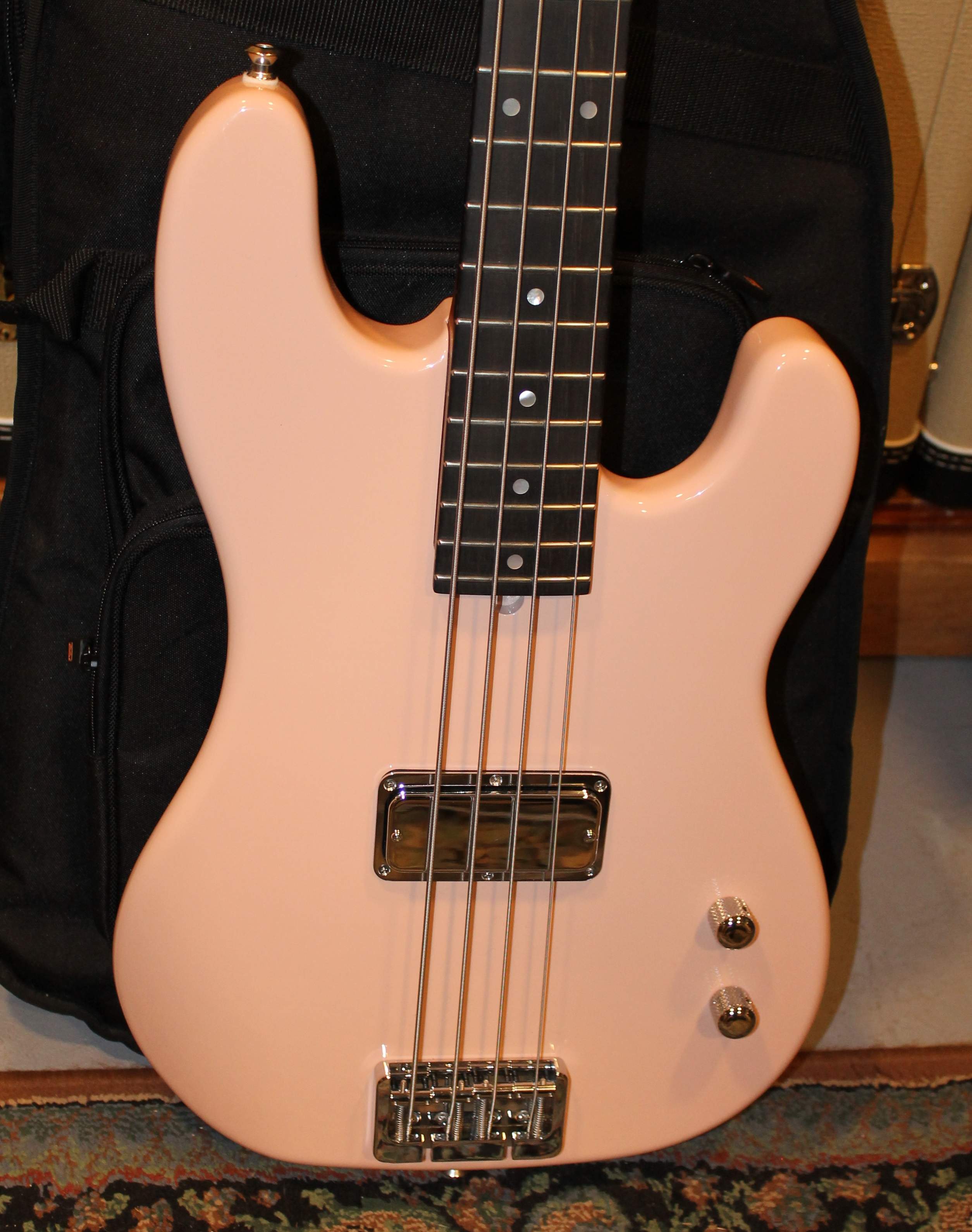 pinkPT4bodyfront.jpg