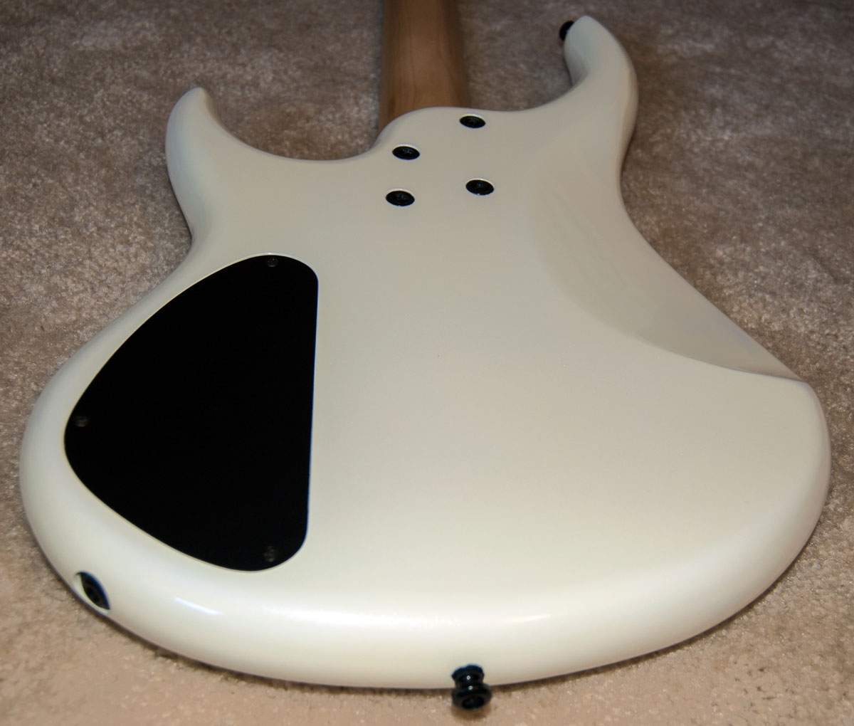 MTD-Back-Below.jpg