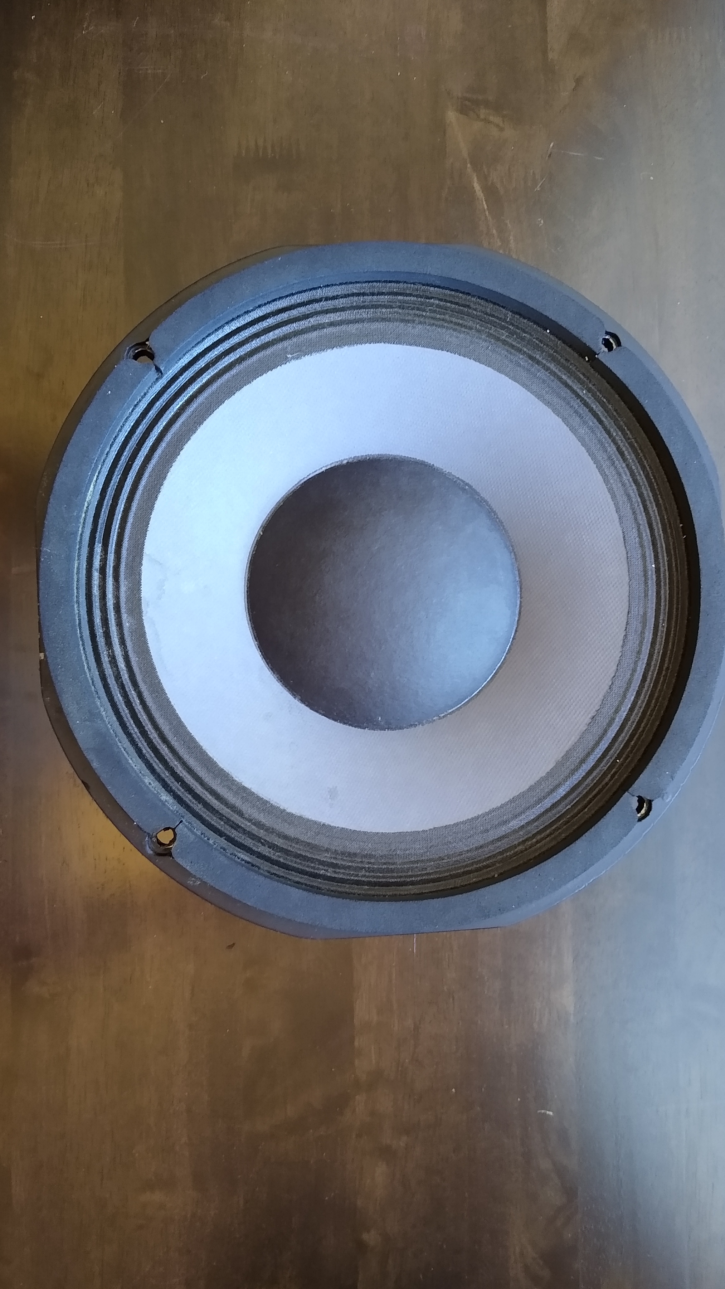 PAS Speaker Front.jpg