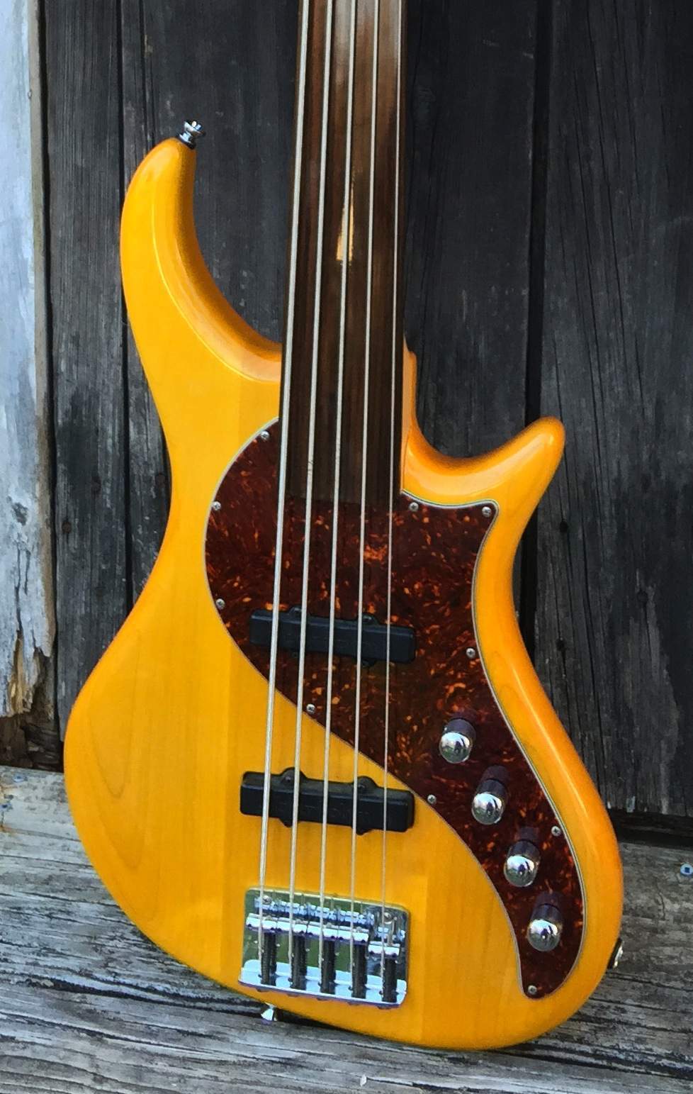 pedulla1 zoom.jpg