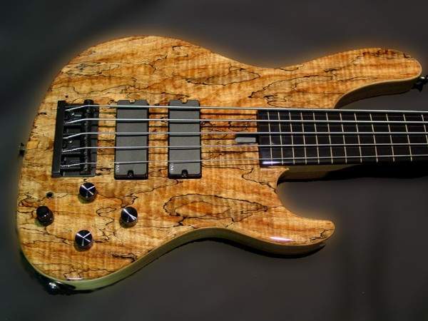 Sadowsky Fretless.jpg