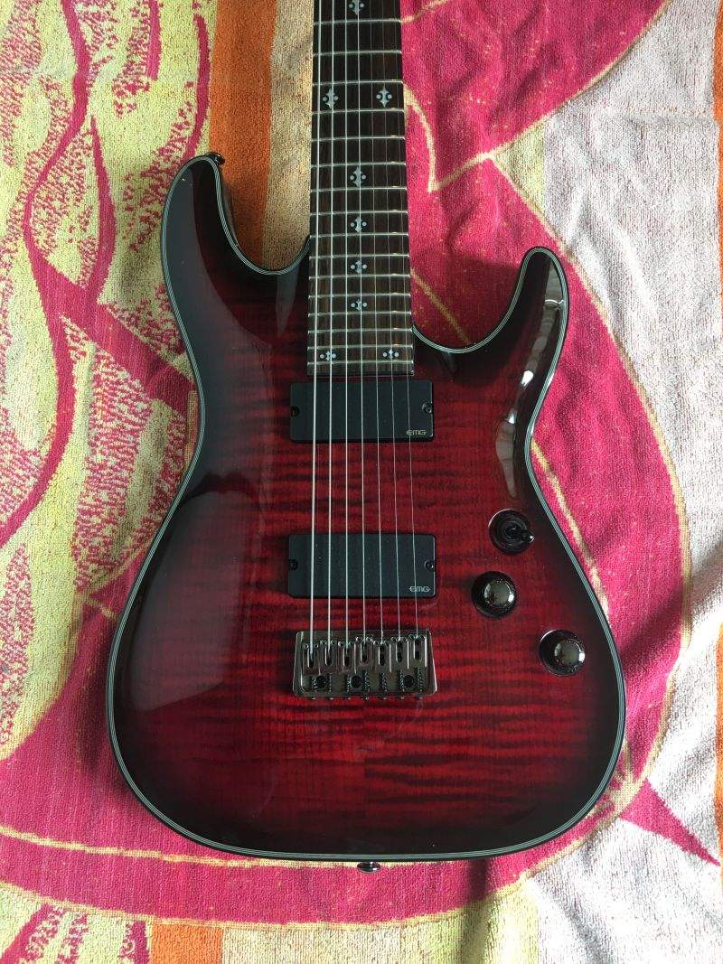 Schecter1.jpg