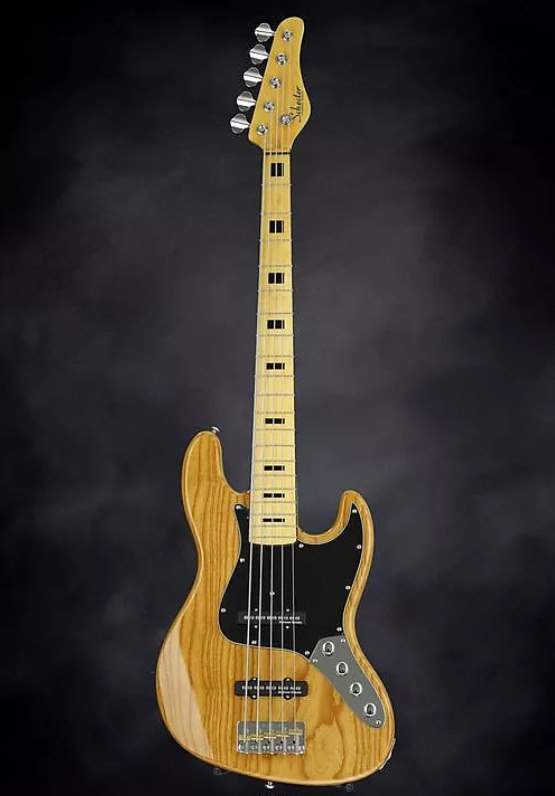 Schecter 1.jpg