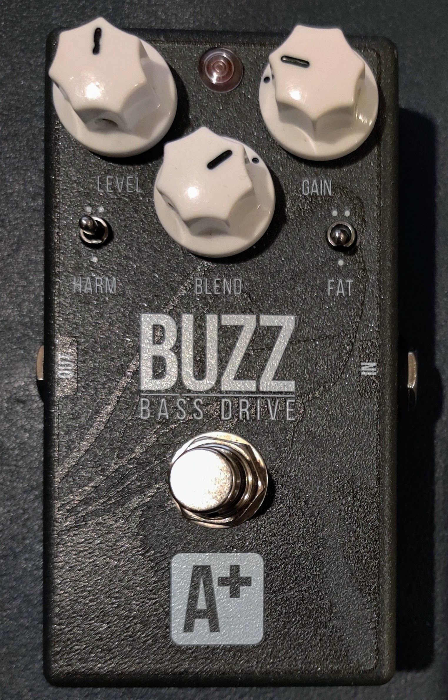 Buzz front.jpg
