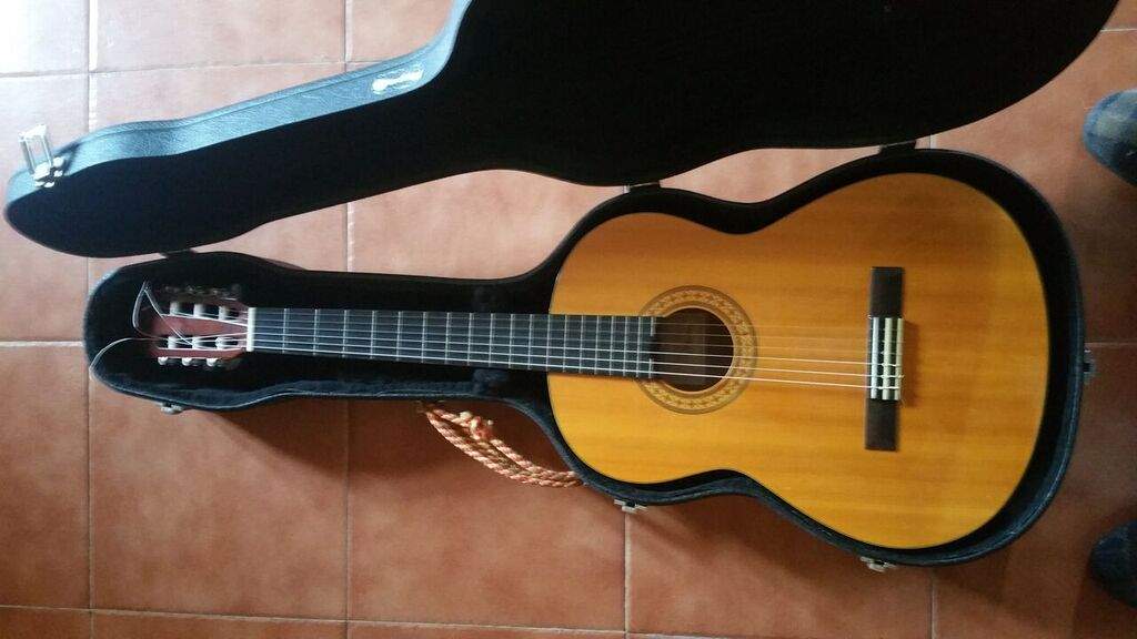takamine.jpg