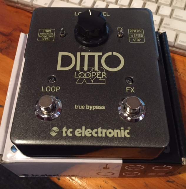 ditto.jpg