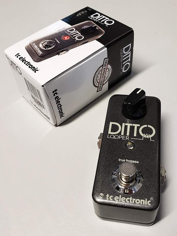 Ditto Looper.jpg