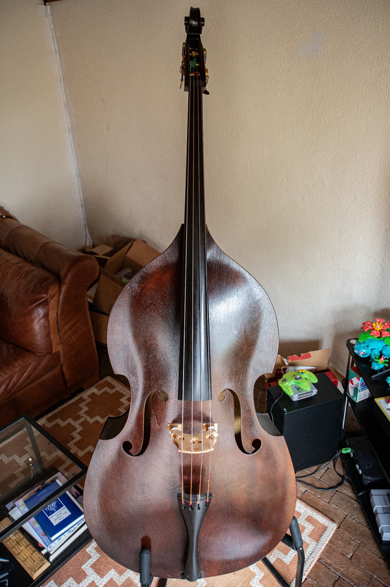 bass (5 of 7).jpg