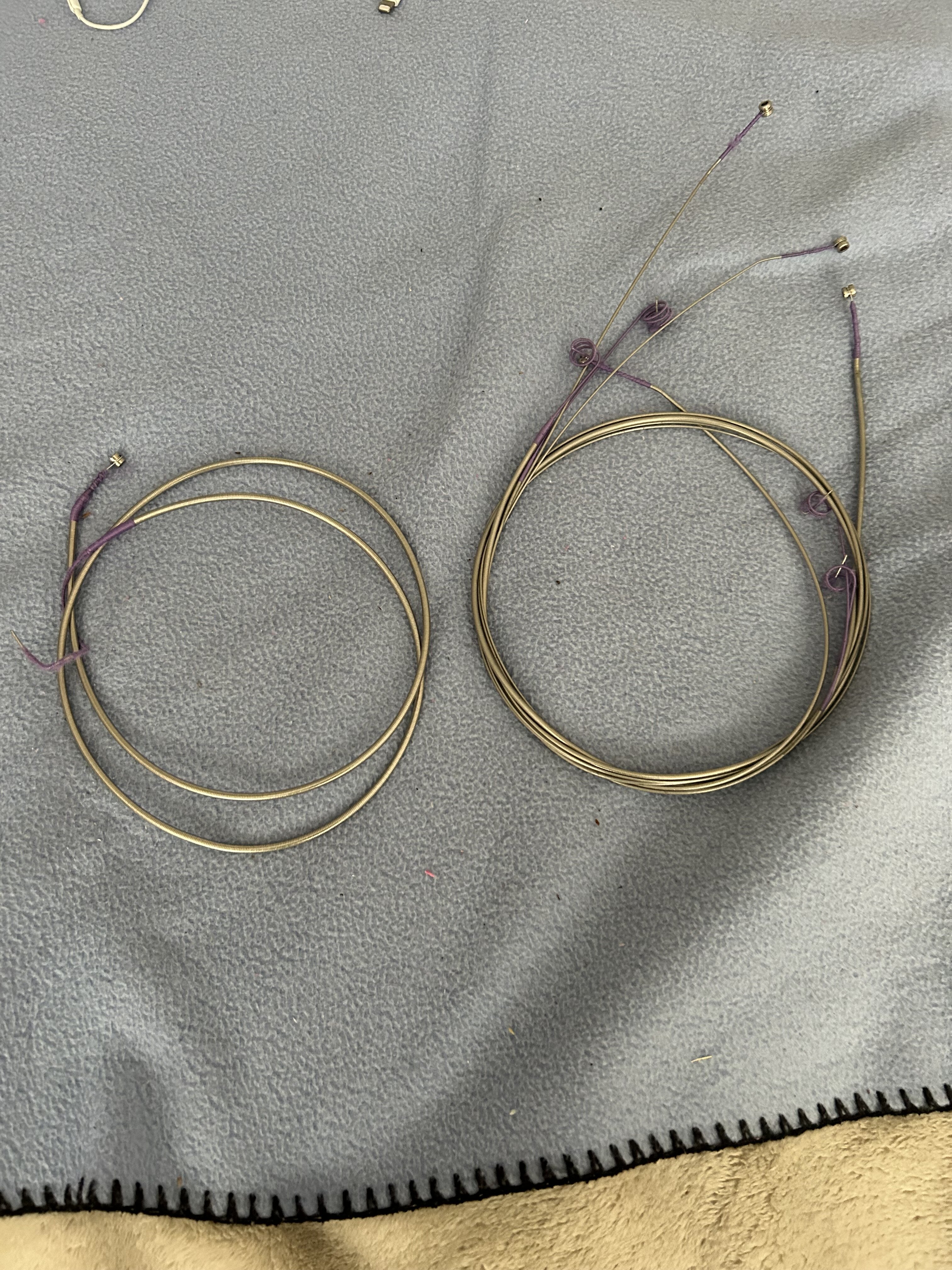 IMG_5958.jpeg