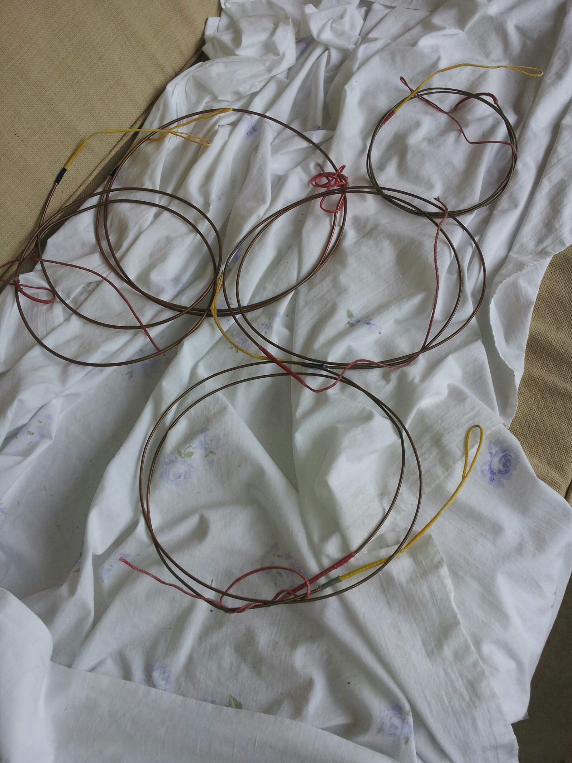 anima strings.jpg