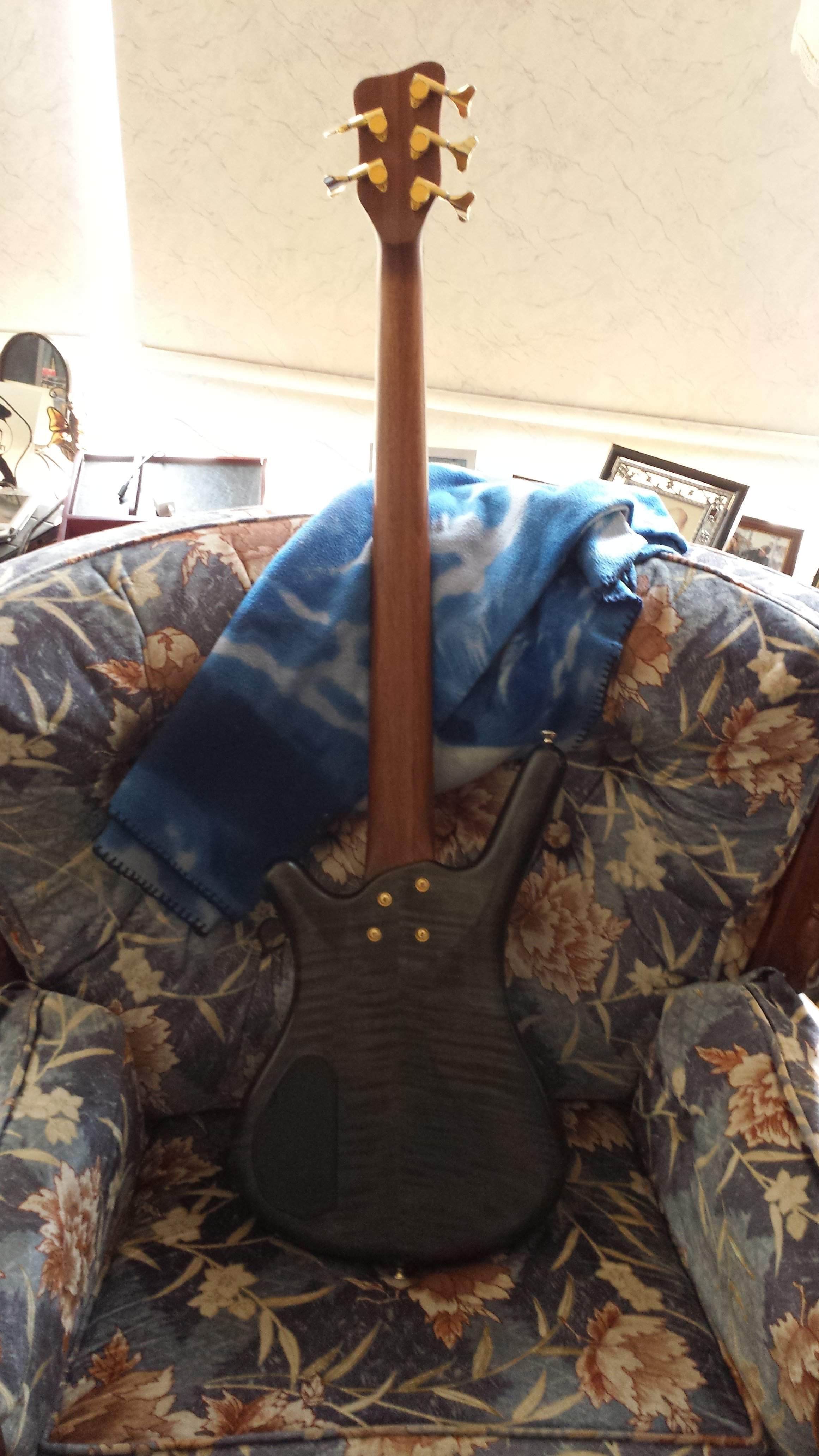 Warwick_Back_2.jpg
