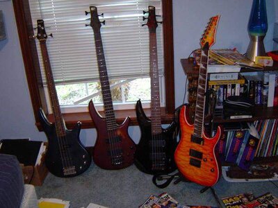 my collection.jpg