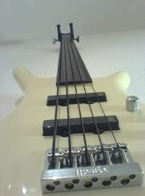 fretless2.jpg