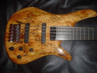 Zon_Sonus_Special_Lined_Fretless.JPG
