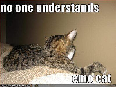 Emo Cat.jpg