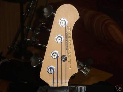 Lakland 3.jpg