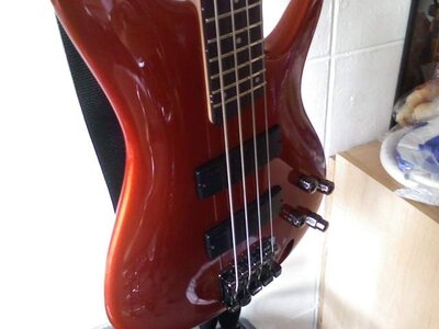 sr300_2.jpg