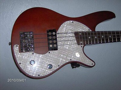 Bass Guitars 009.jpg