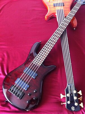 Spector1.JPG