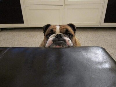 Hello.jpg