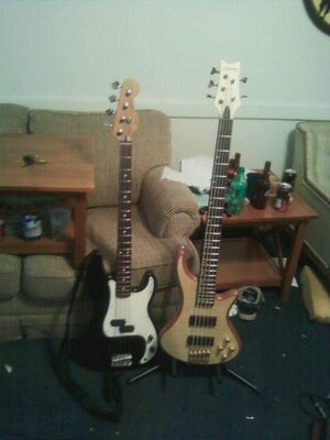 2basses.jpg