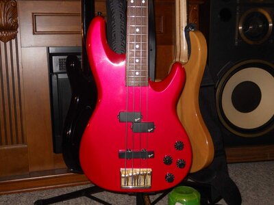 DSCN0201.JPG