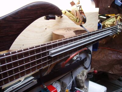 Cirrus neck2.jpg