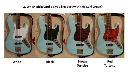 j_pickguards.jpg