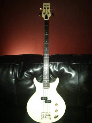 washburn bass.jpg
