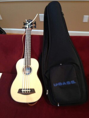 Kala UBass3.jpg