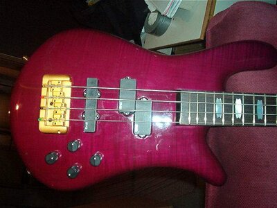 Spector4.JPG