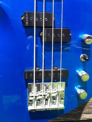 RICO BASS FRONT CLOSE.jpg
