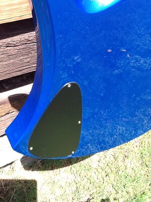 RICO BASS BACK PLATE.jpg