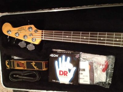 P5 fretboard and headstock.jpg