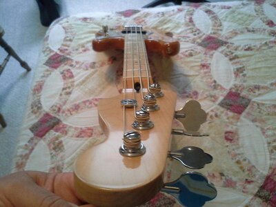 PBass-2.jpg