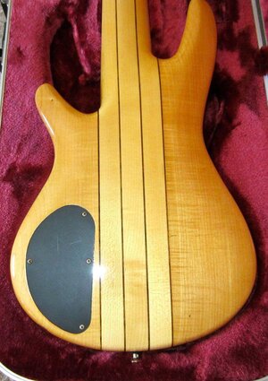 SR1206 Back.jpg
