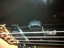 velcro2.jpg